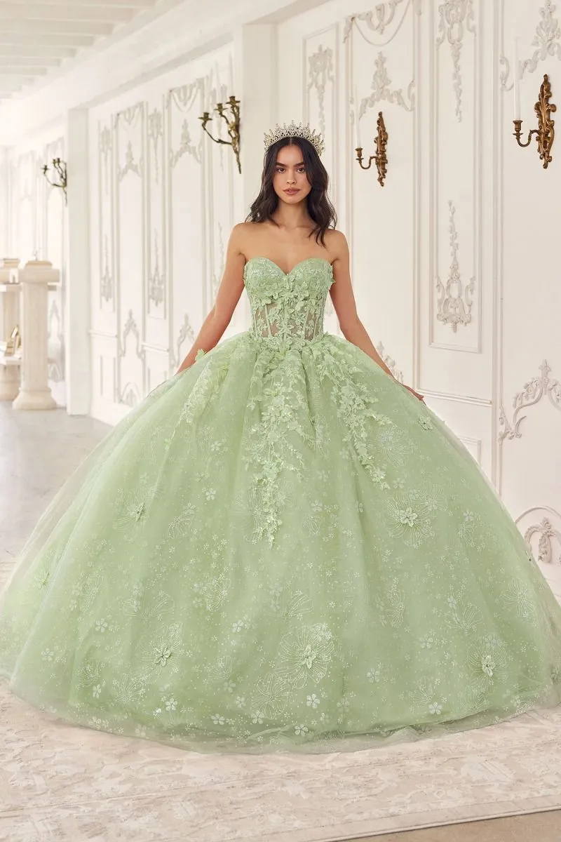 AZALINA Sheer Capelet Floral Applique Quinceañera Ball Gown Dress