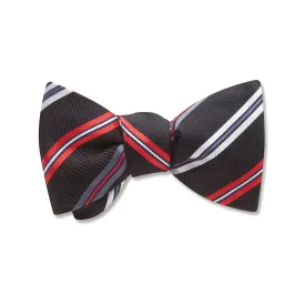 Neva River - Kids' Bow Ties