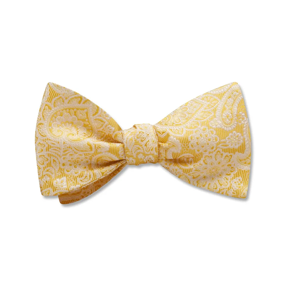 Pembroke Canary - Kids' Bow Ties