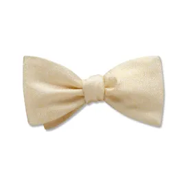 Pembroke Ivory - Kids' Bow Ties